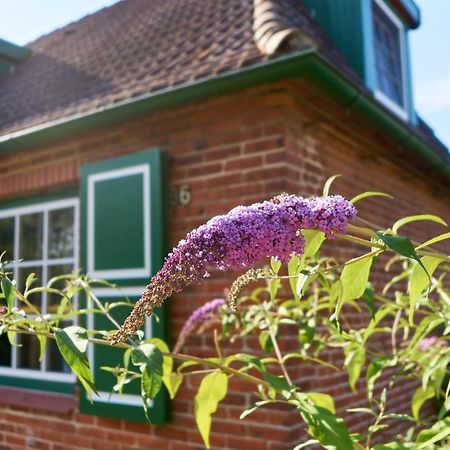Gemuetliches Landhaus In Harmsdorf Экстерьер фото